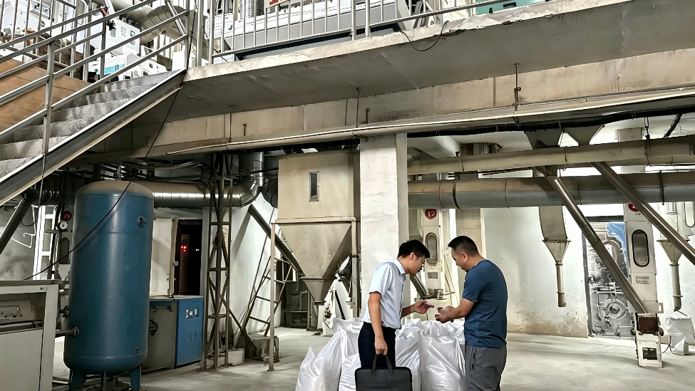 抢抓“双抢”关键农时 上饶银行以金融“活水”润沃野良田