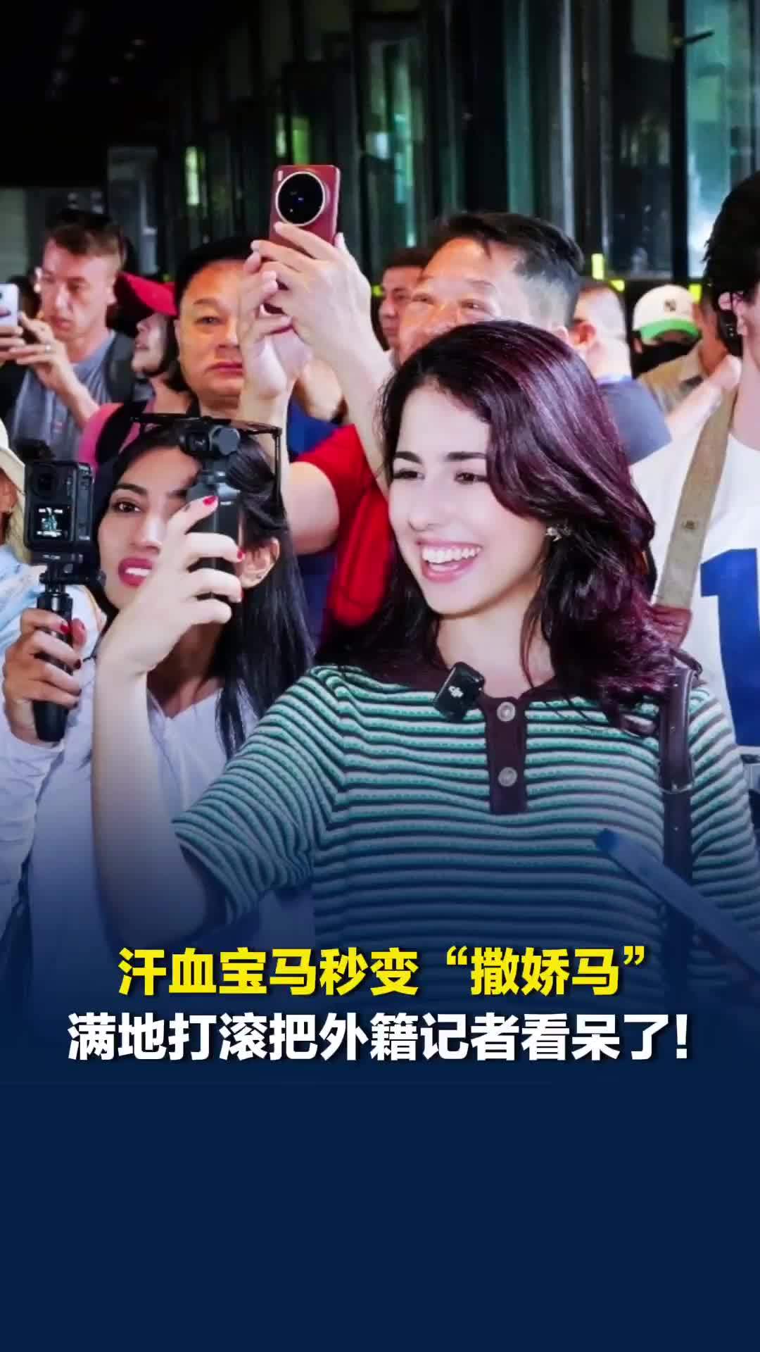 汗血宝马秒变“撒娇马”，满地打滚把外籍记者看呆了