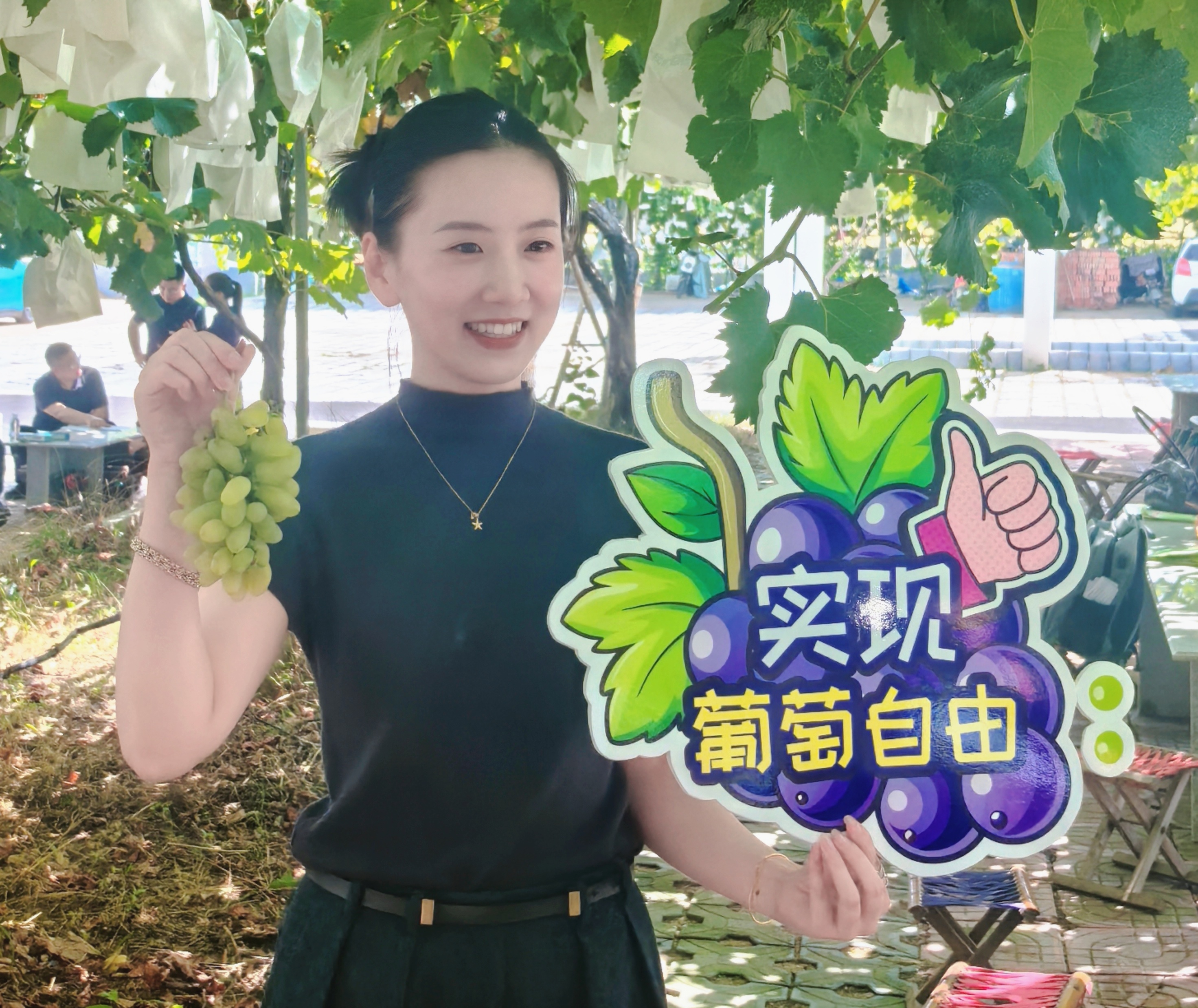 葡萄树下话振兴!第40届农旅·大泽山葡萄节将于9月5日启幕