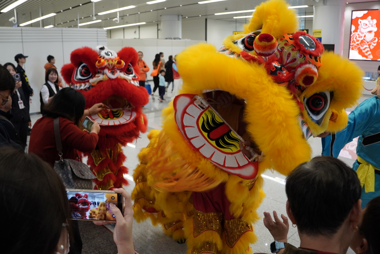 莲塘口岸开通六周年:深耕六载 融通湾区