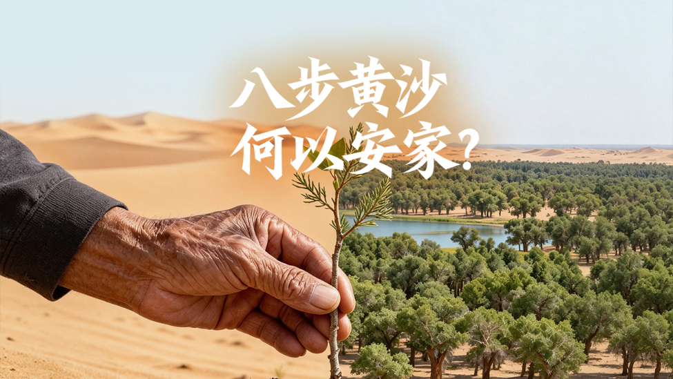 旅途｜八步黄沙锁家门，古浪人凭三样东西逆转戈壁人生