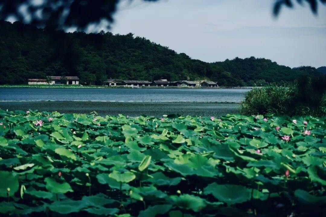 雅水秘境2.jpg