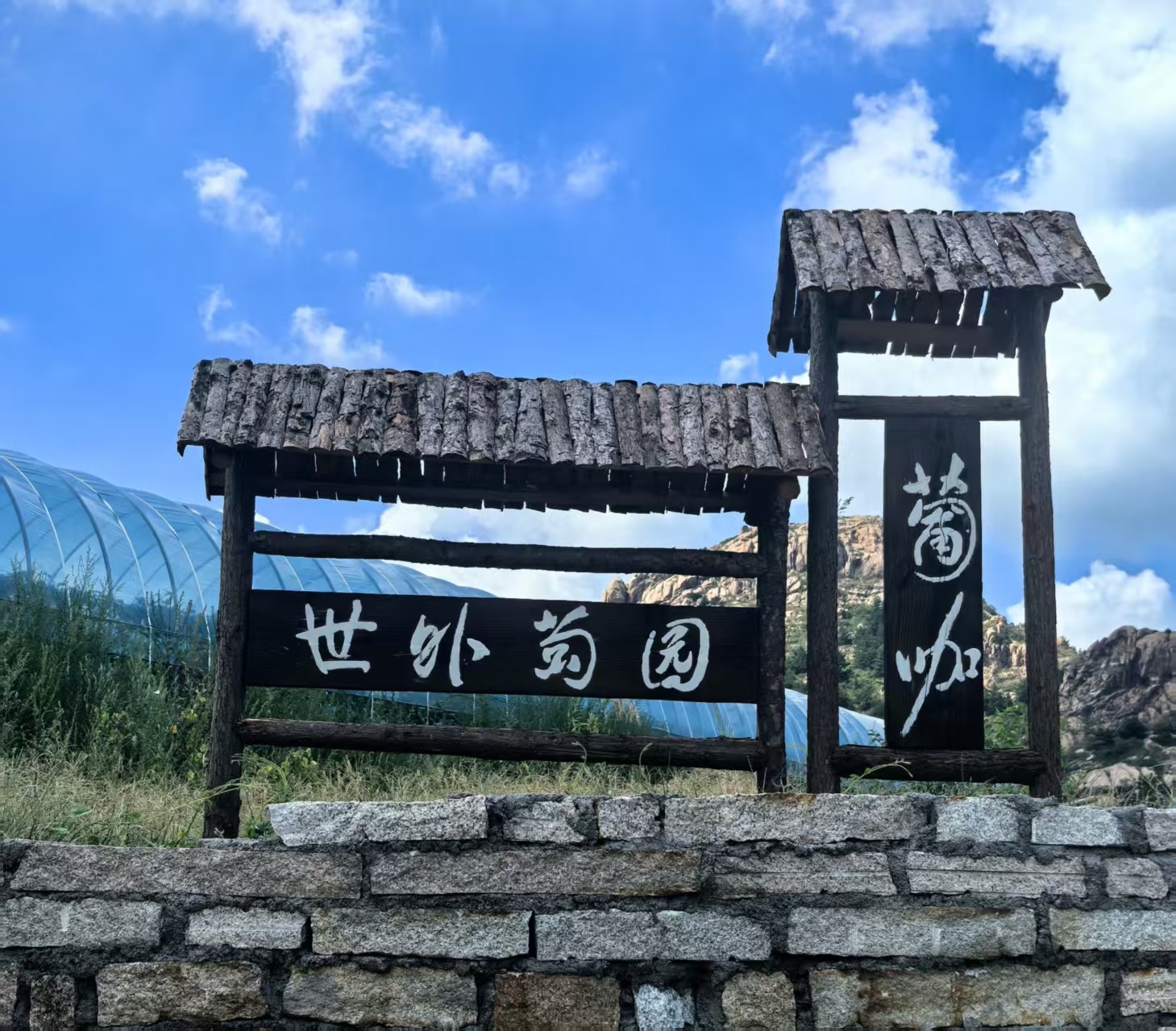 葡萄树下话振兴!第40届农旅·大泽山葡萄节将于9月5日启幕