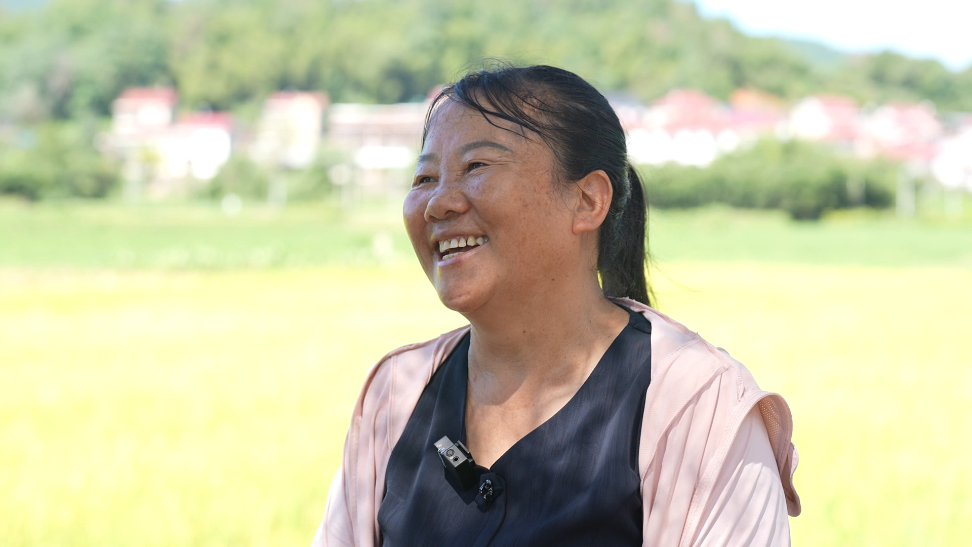 万年县陈营镇种植大户许云枝接受记者采访