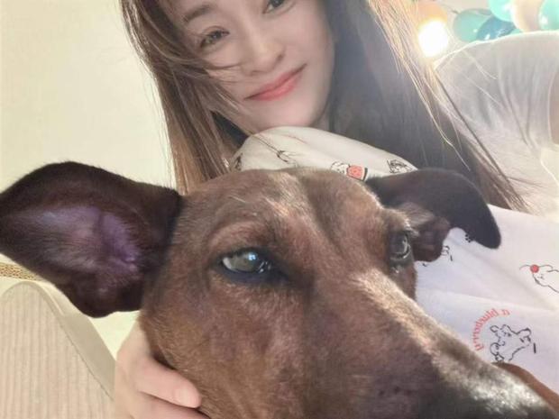 李小冉怀抱狗狗治愈温馨。