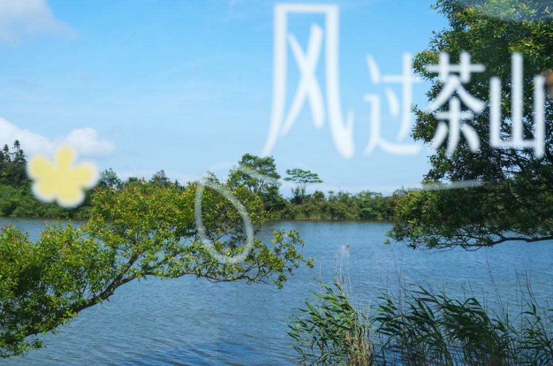 5.18 冯亮 福泉山龙潭茶山 (5).png