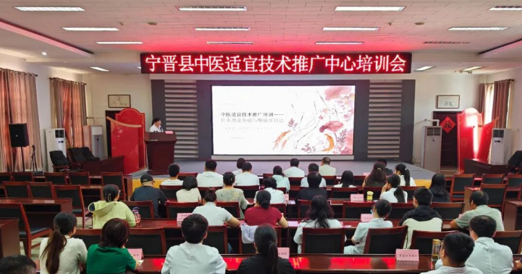 宁晋县医共体中医适宜技术推广中心举办针灸理论与醒脑开窍法专题培训