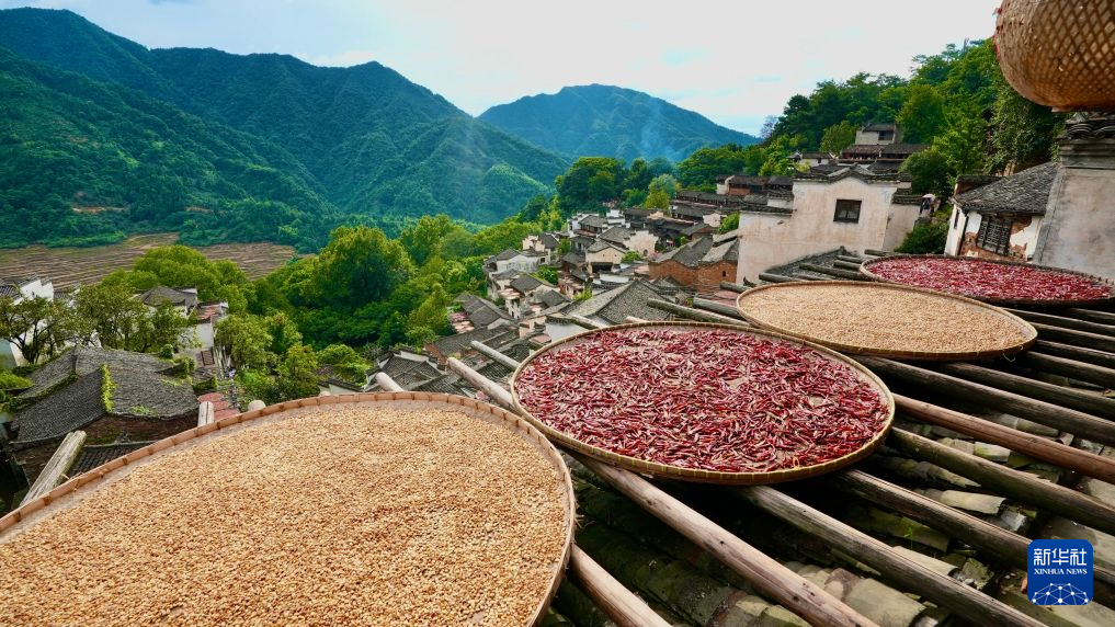这是篁岭村内一景(8月25日摄)。新华社记者 胡晨欢 摄