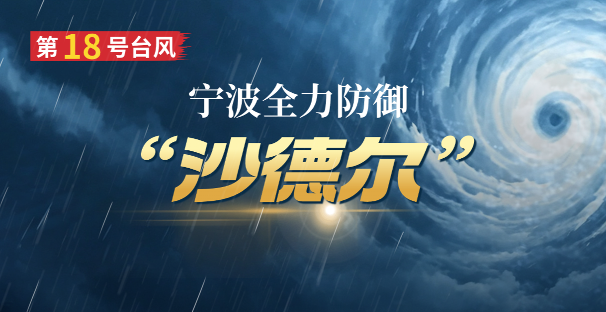 全力防御台风“沙德尔”