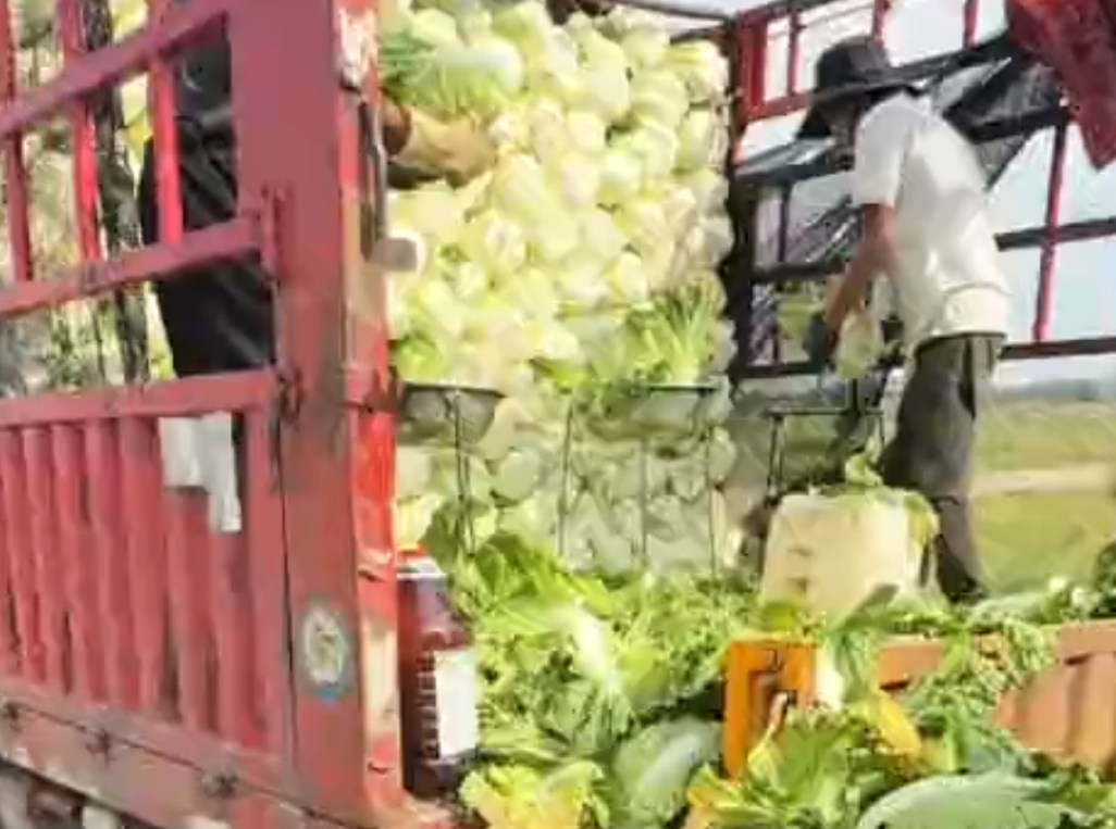 (图源:网络)