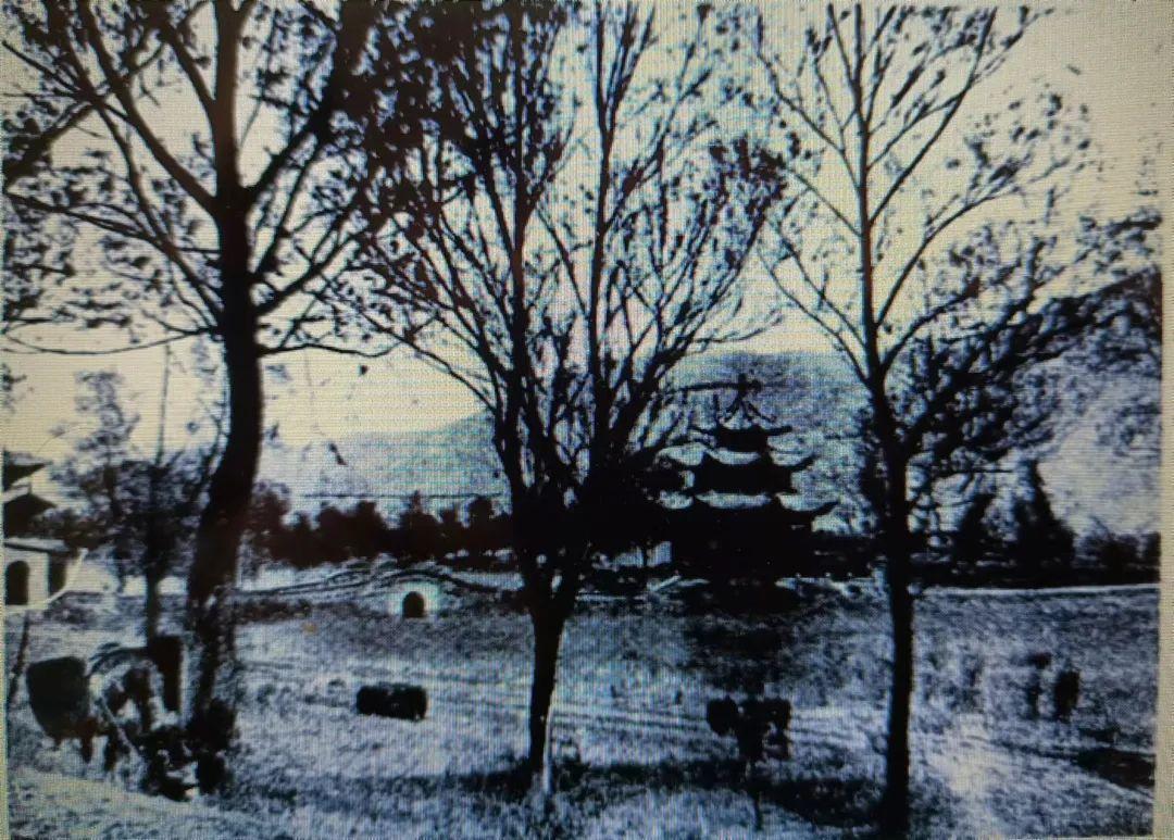 兰州小西湖春暮夏初景色(1935年摄)引自《西北揽胜》
