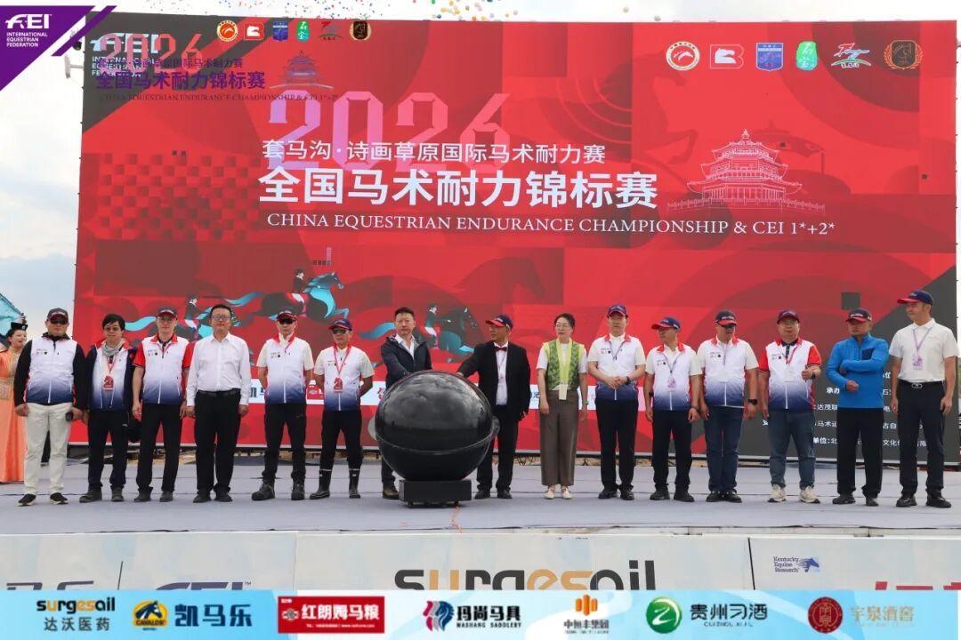 参赛规模创新高！中国新生代骑手突围套马沟，惊艳世界赛场