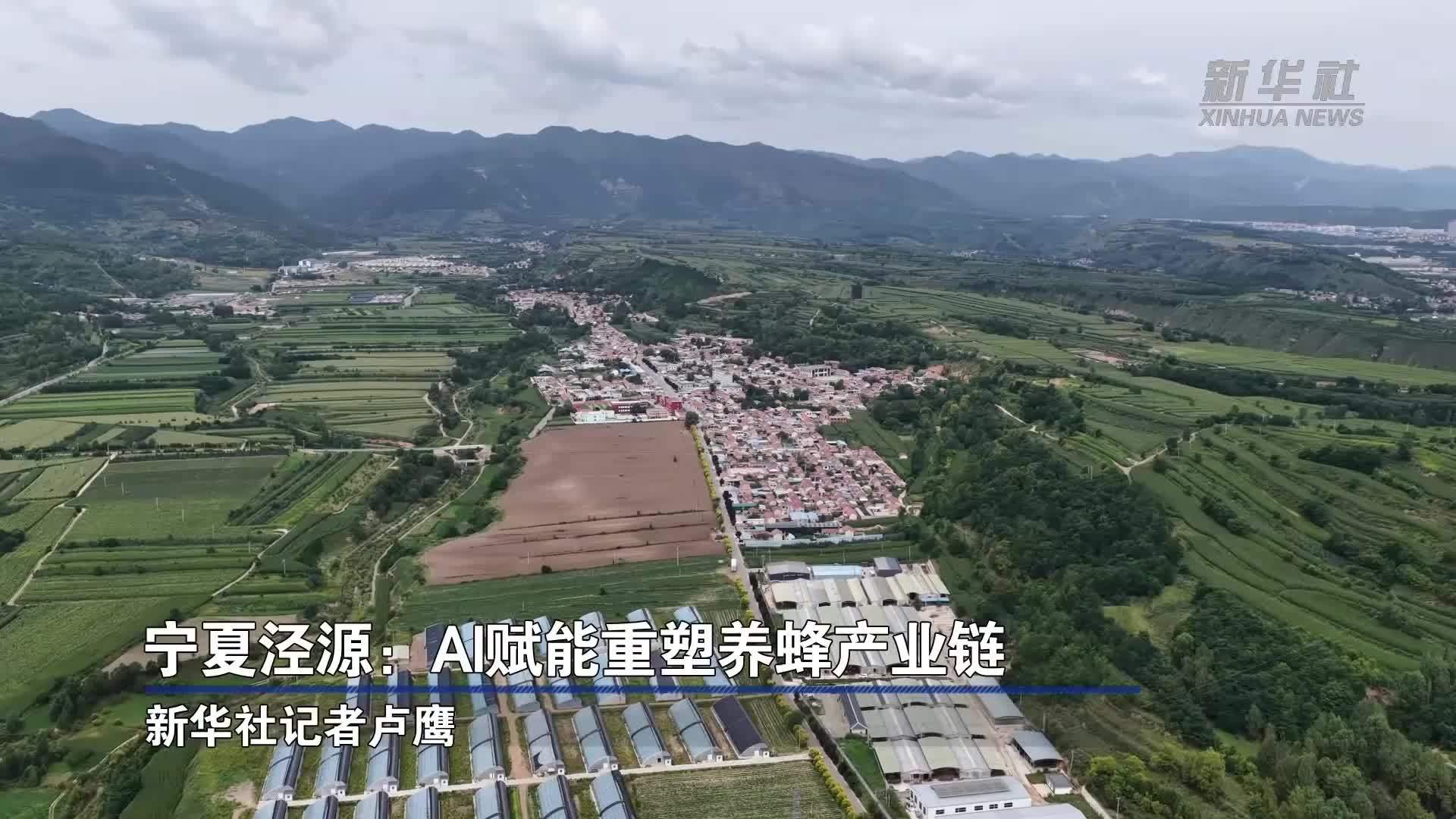 宁夏泾源：AI赋能重塑养蜂产业链