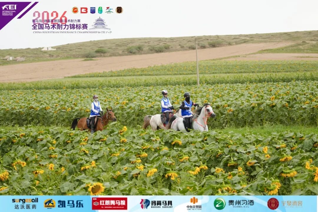 120KM赛场双姝闪耀；100KM个人、团体赛各见分晓