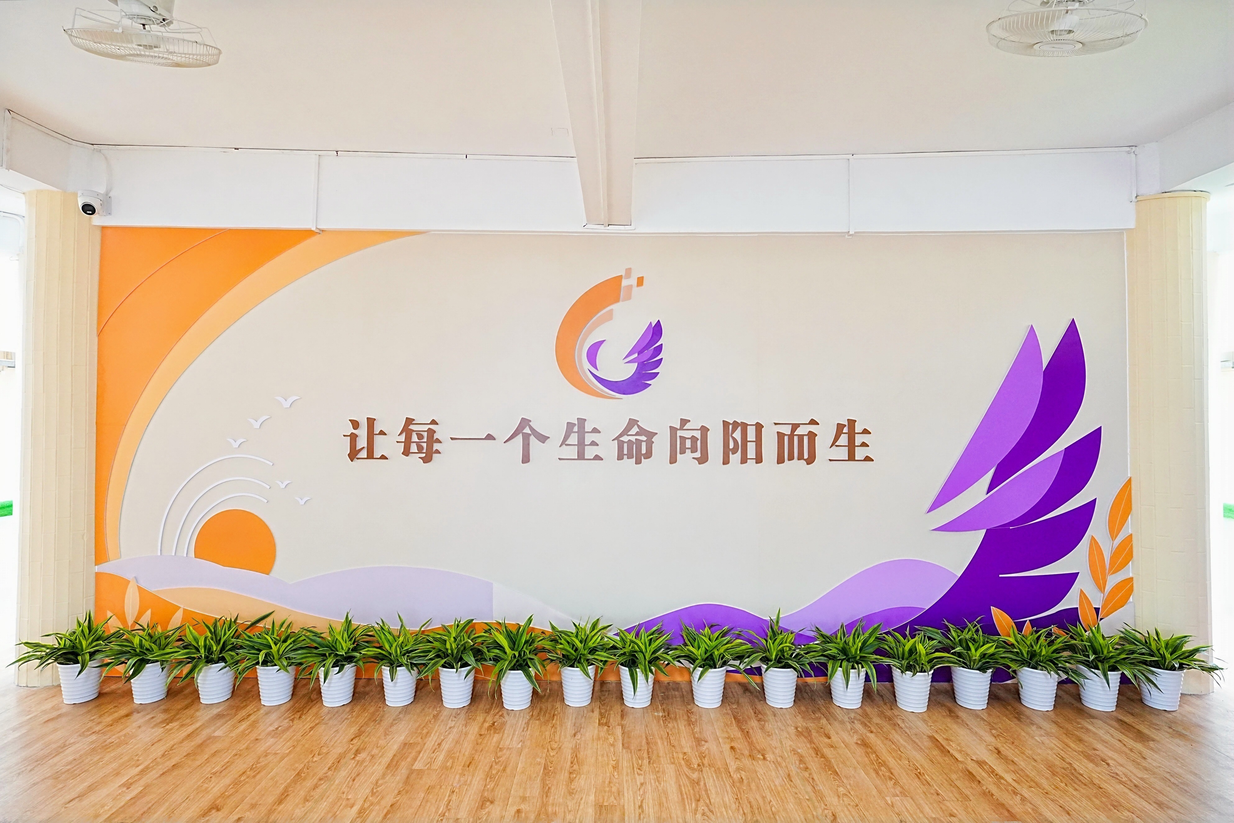“一校多点”格局全面形成 龙岗特教迈入高质量发展新阶段