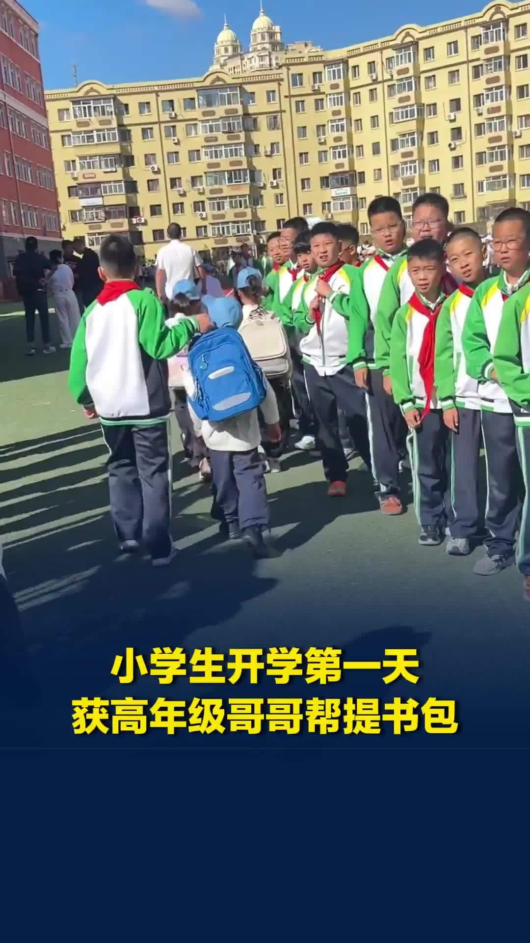 小学生开学第一天，获高年级哥哥帮提书包，网友：哥哥太暖心了