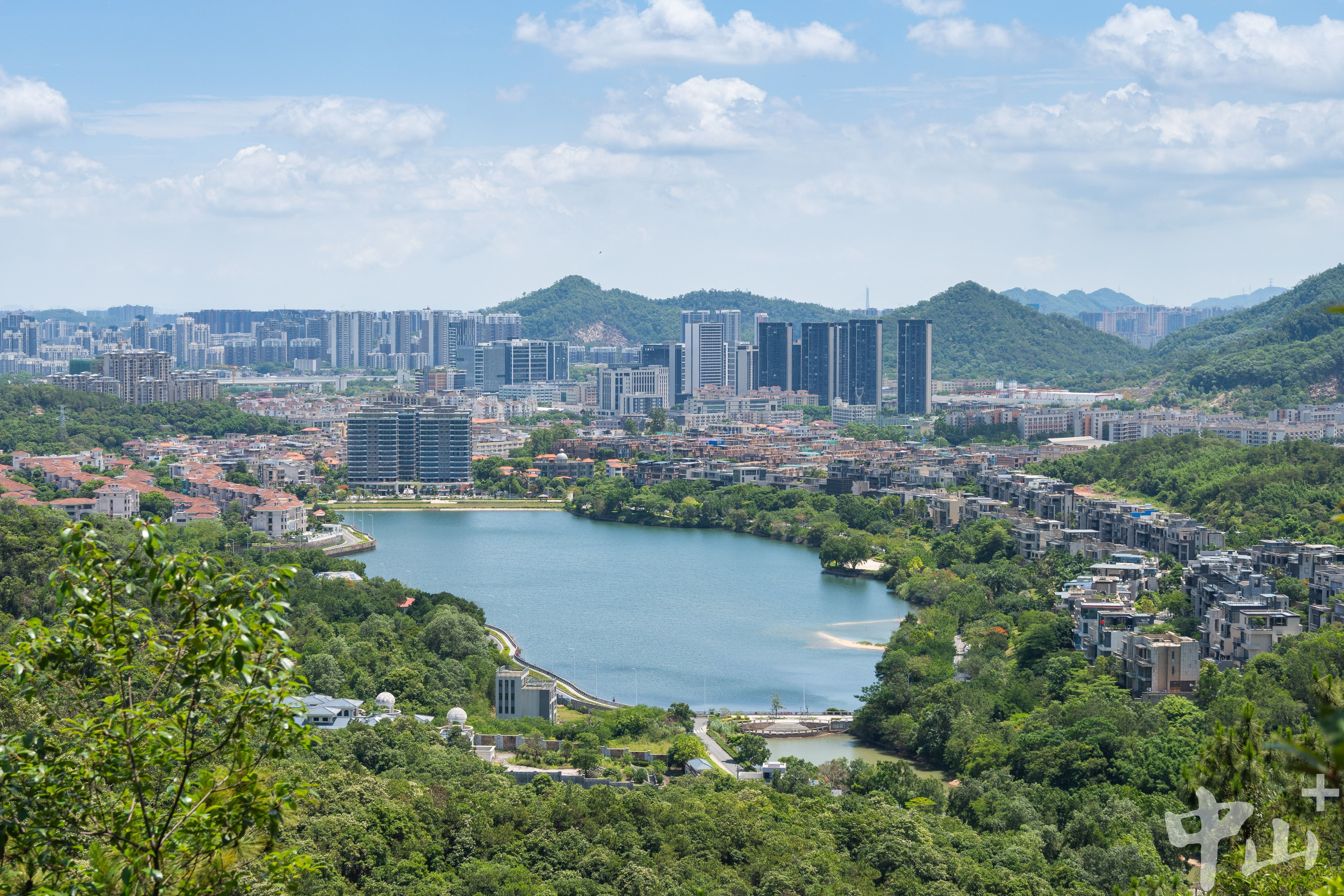 五桂山是粤港澳大湾区重要的“绿肺”。