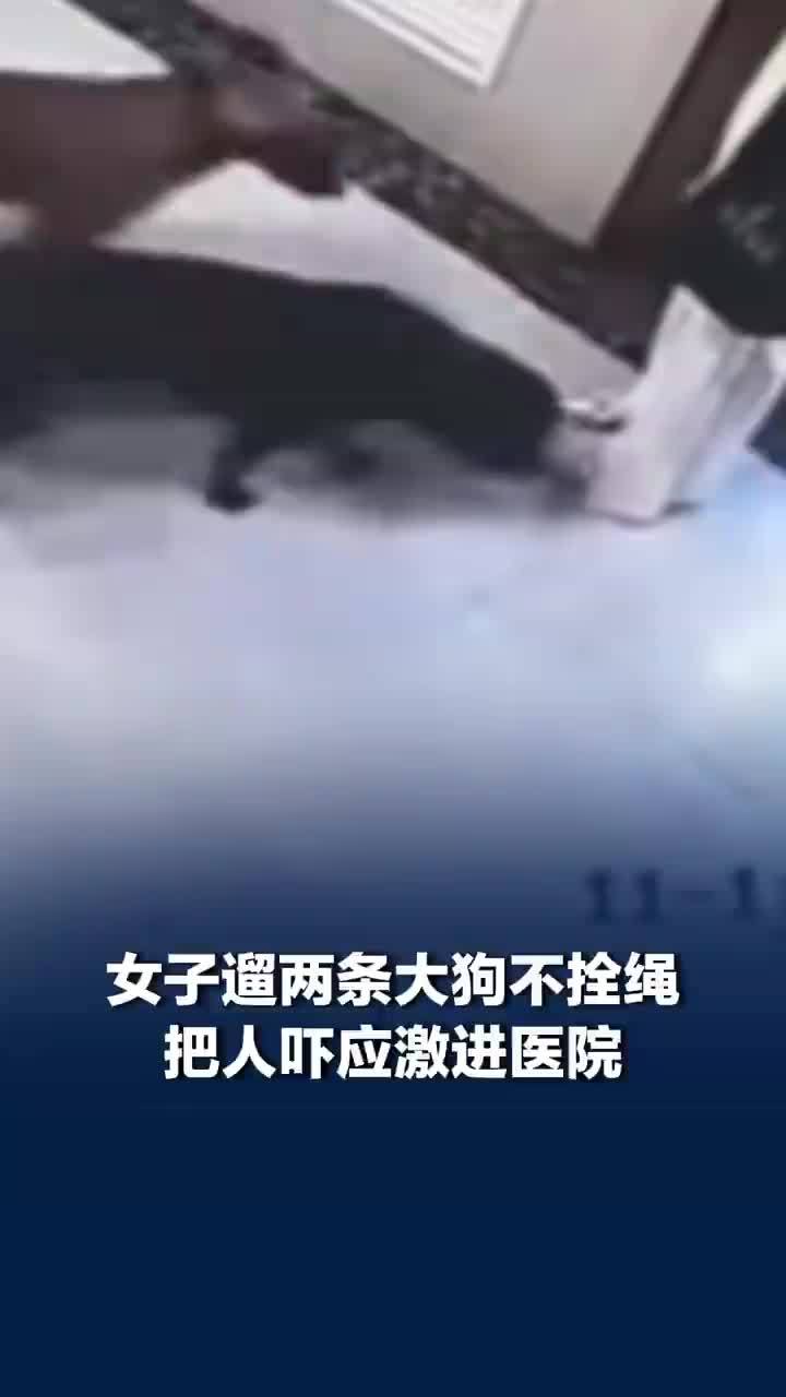 女子遛2条大狗不拴绳把人吓进医院