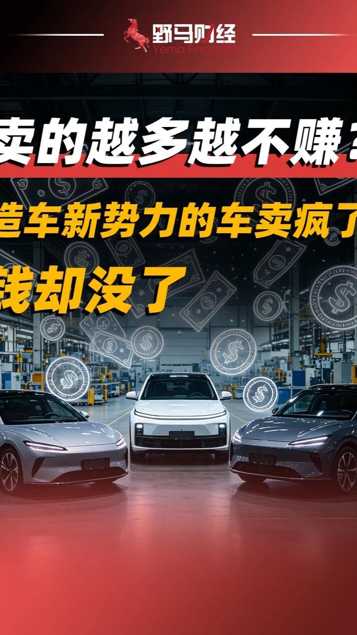 卖的越多越不赚？造车新势力的车卖疯了，钱却没了？#新势力#汽车#财经
