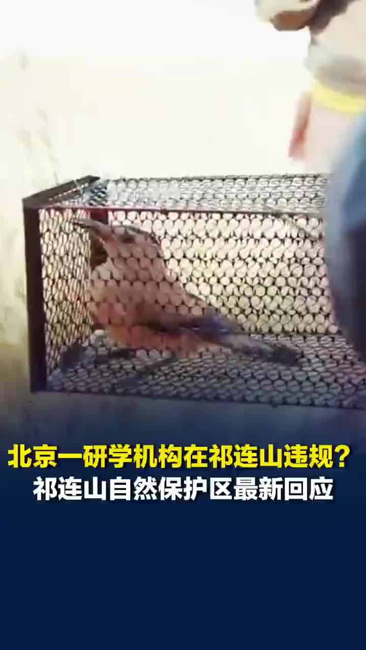祁连山回应研学机构违规