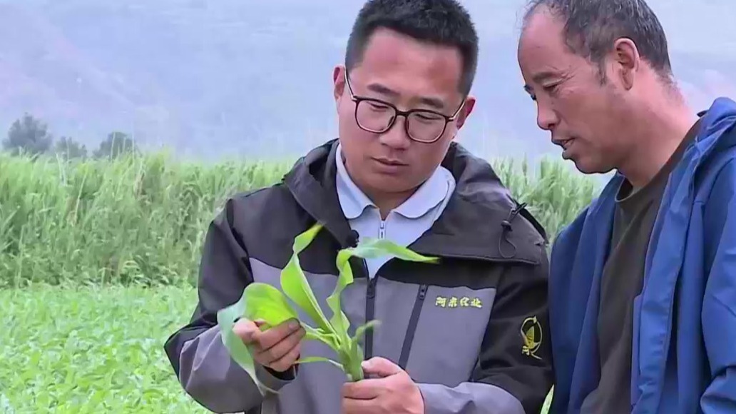 情系桑梓“就”在家乡