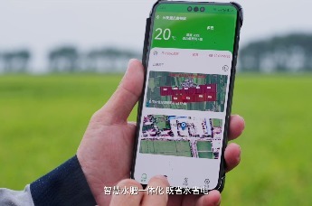 兴安盟：北纬46度的稻花香