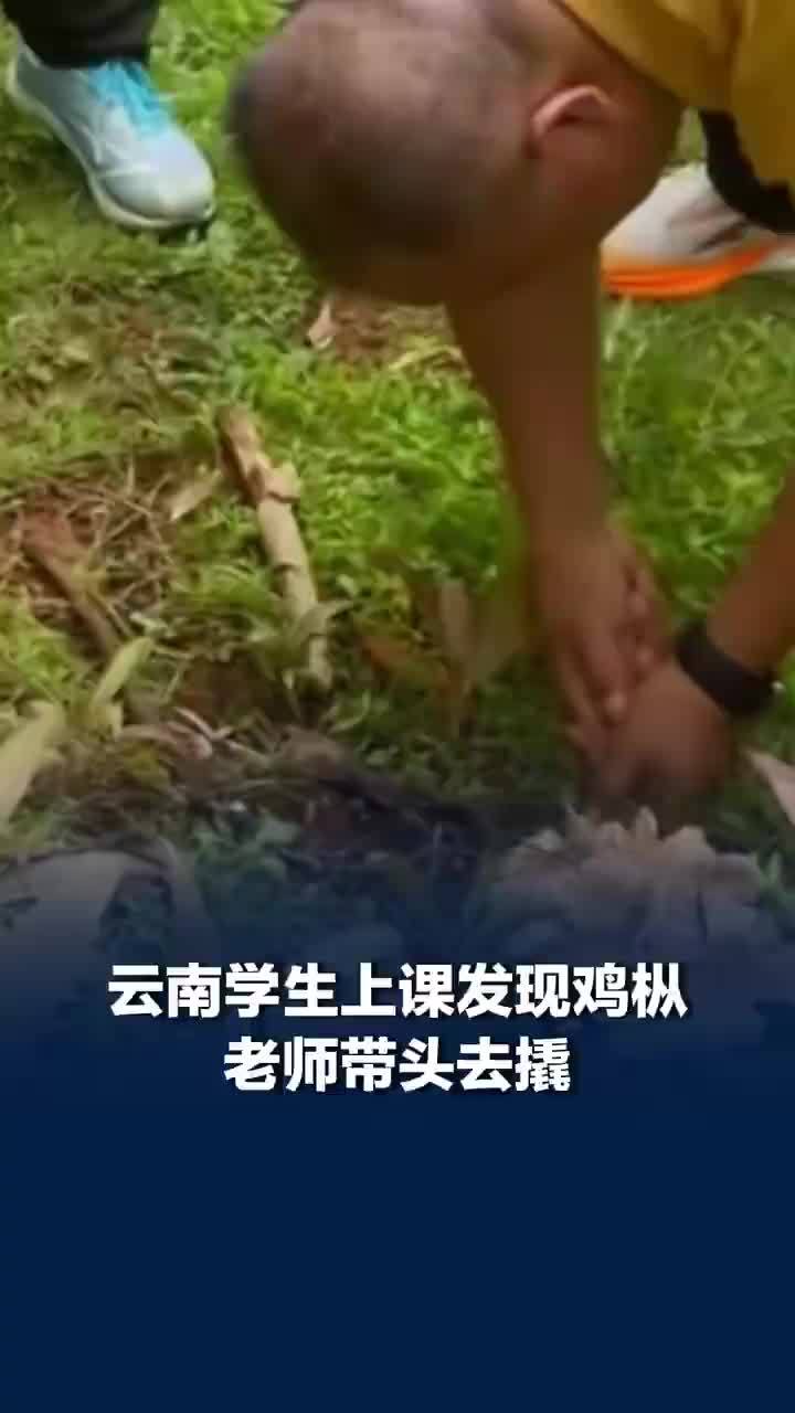 云南学生上课发现鸡枞老师带头去撬