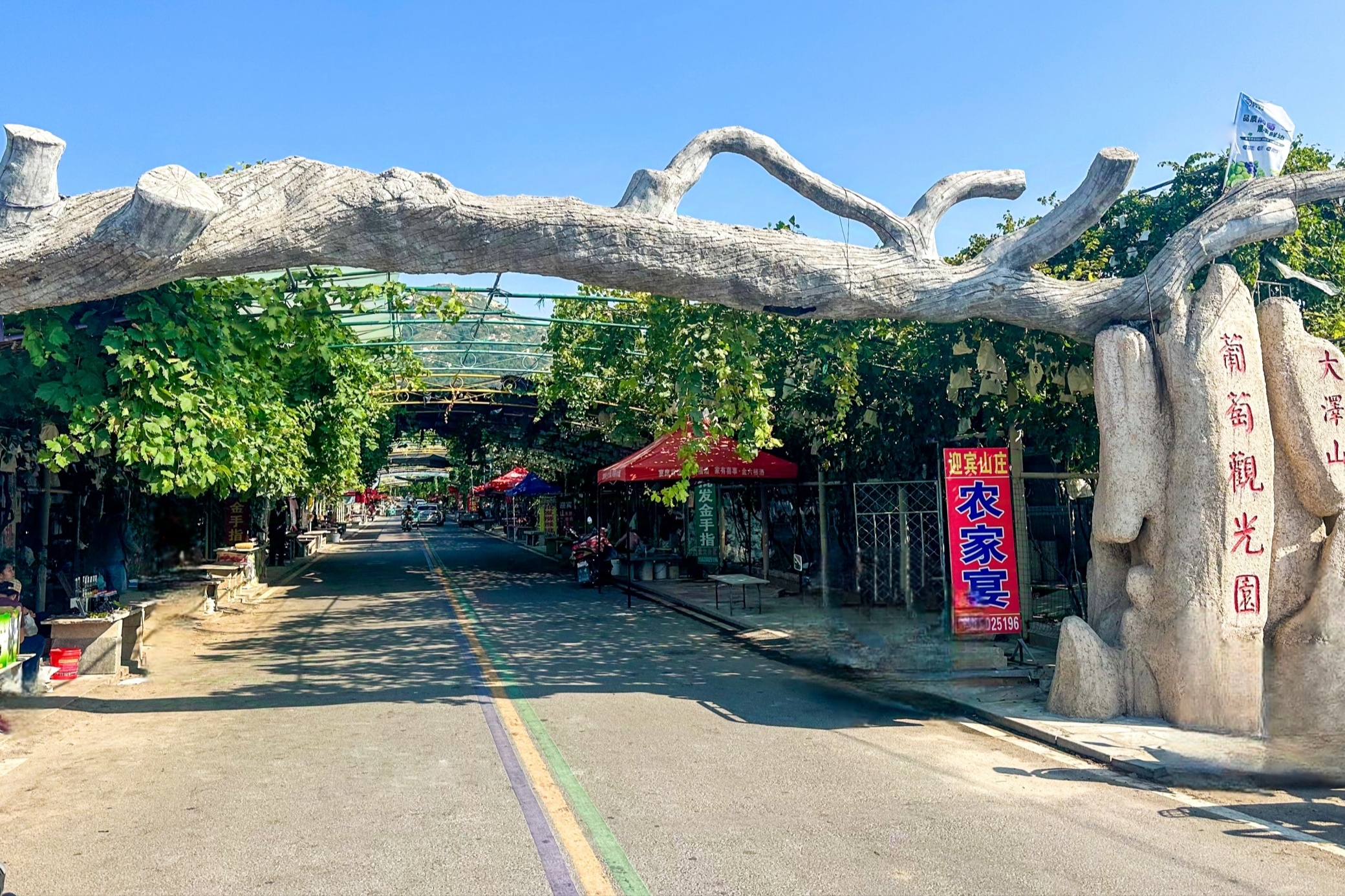 五龙埠葡萄长廊