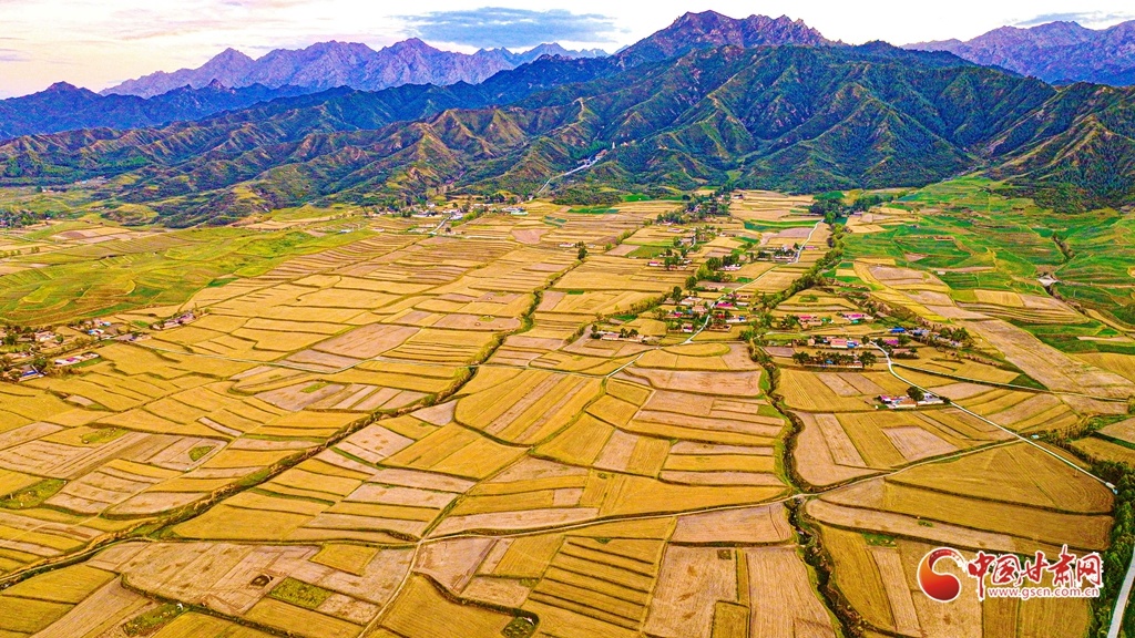 夕阳洒落,易家湾村万亩田野披上金色外衣,阡陌纵横间、大地如镀金箔。