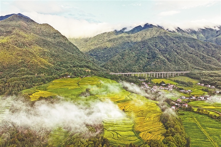 宜丰县：秋染山乡（图）