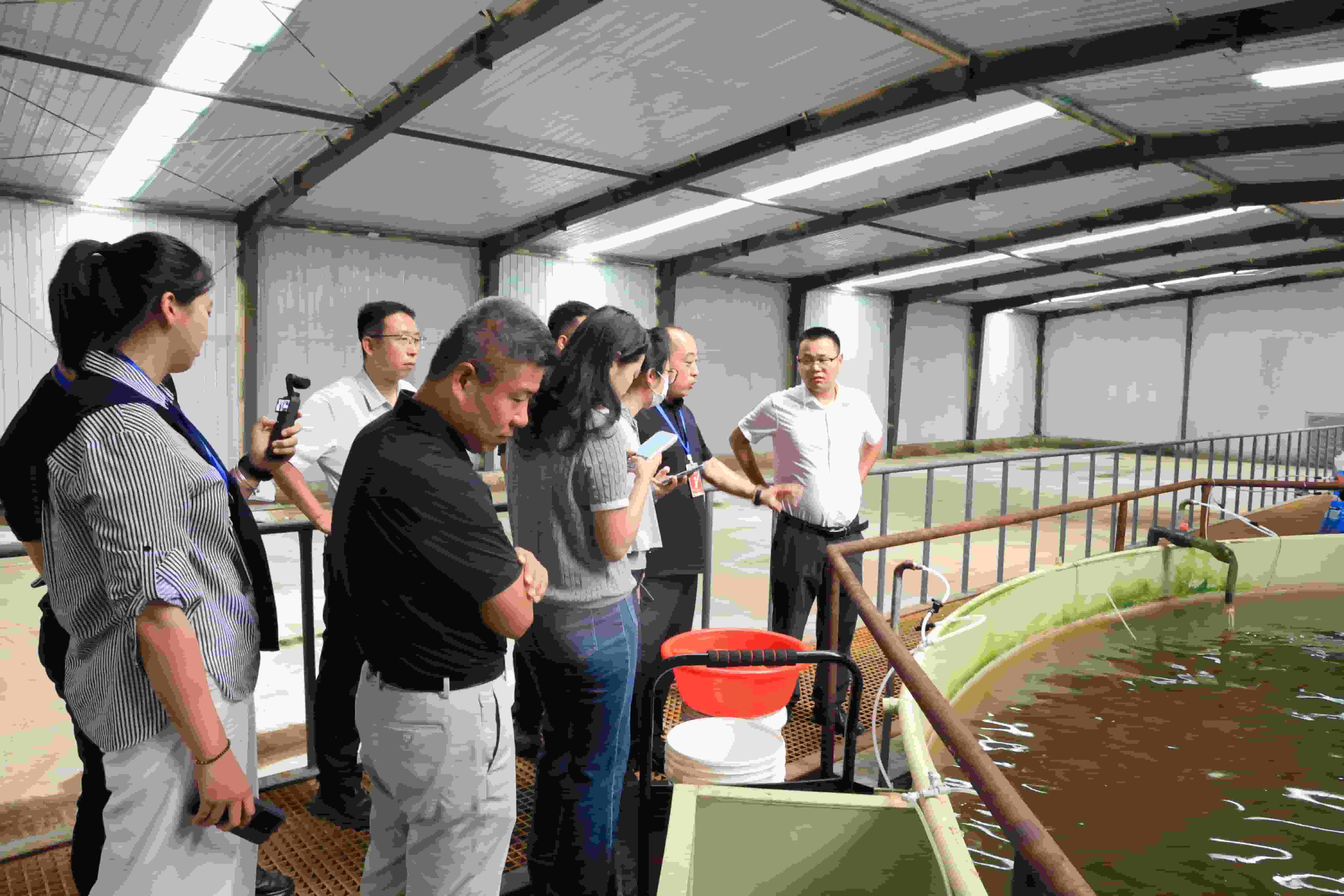 工农融合的“尔林兔样本”:一条鱼带动一个链 一片草原富一方民
