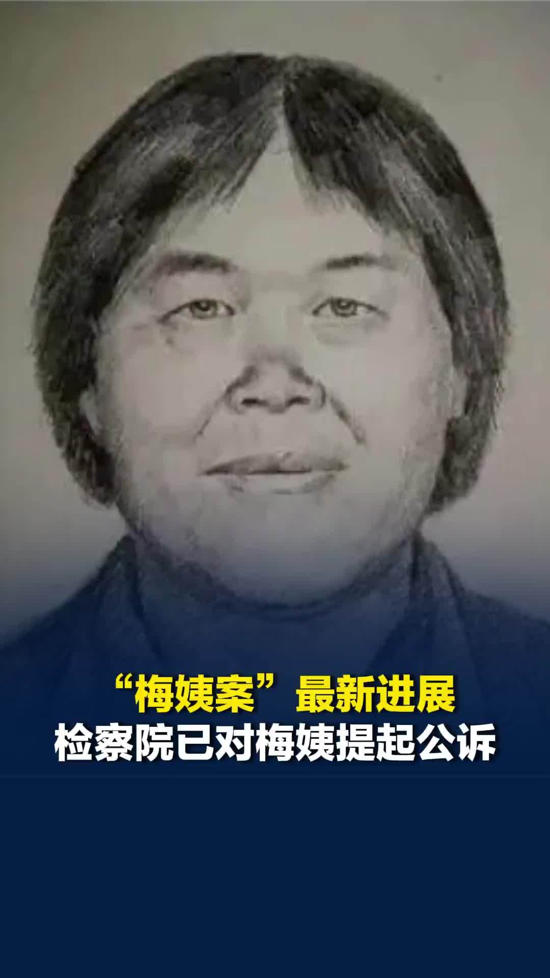 “梅姨案”最新进展：检察院已对梅姨提起公诉，案件已经进入审判阶段