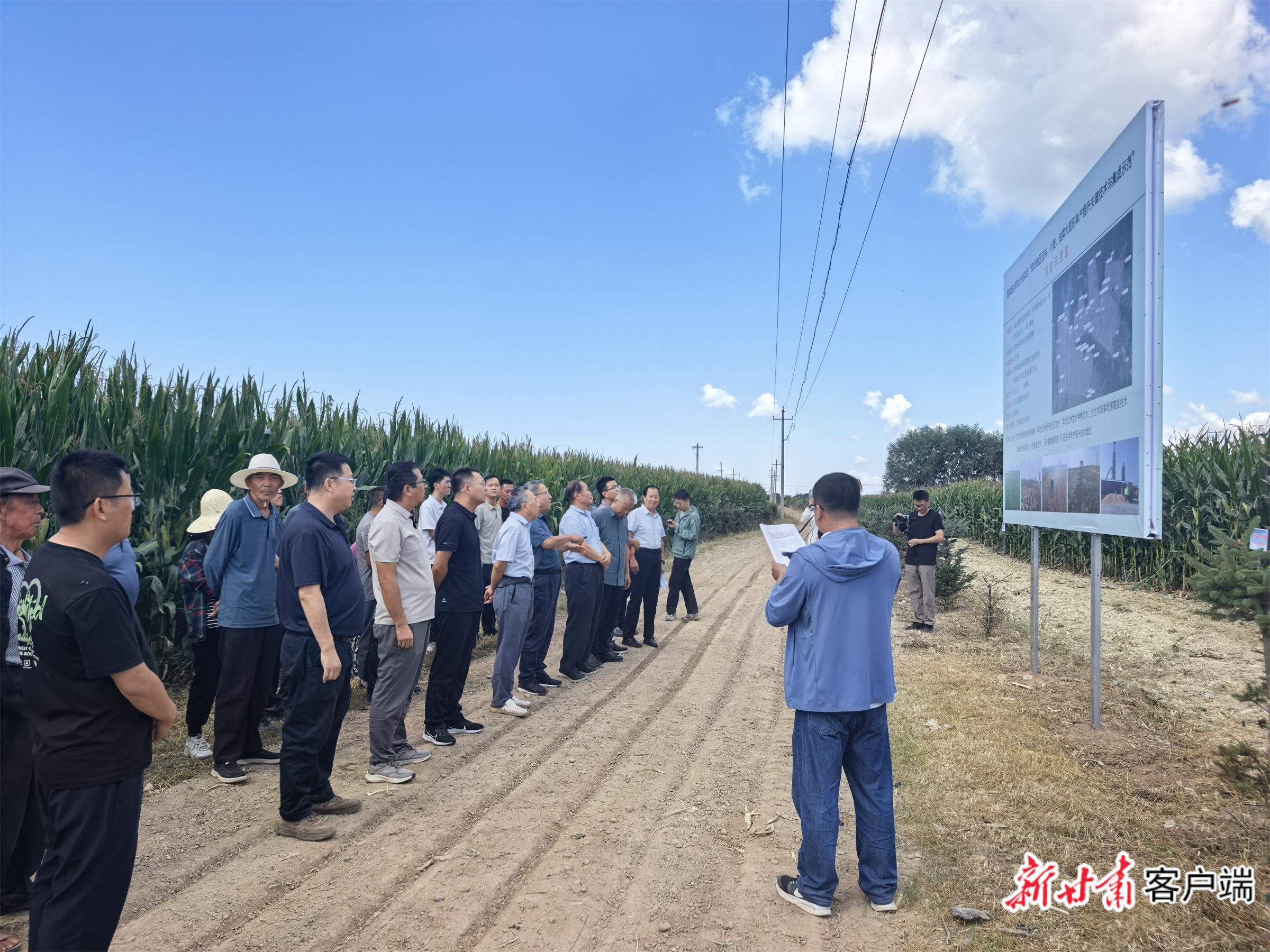 参会代表在泾川县玉米单产提升示范基地观摩