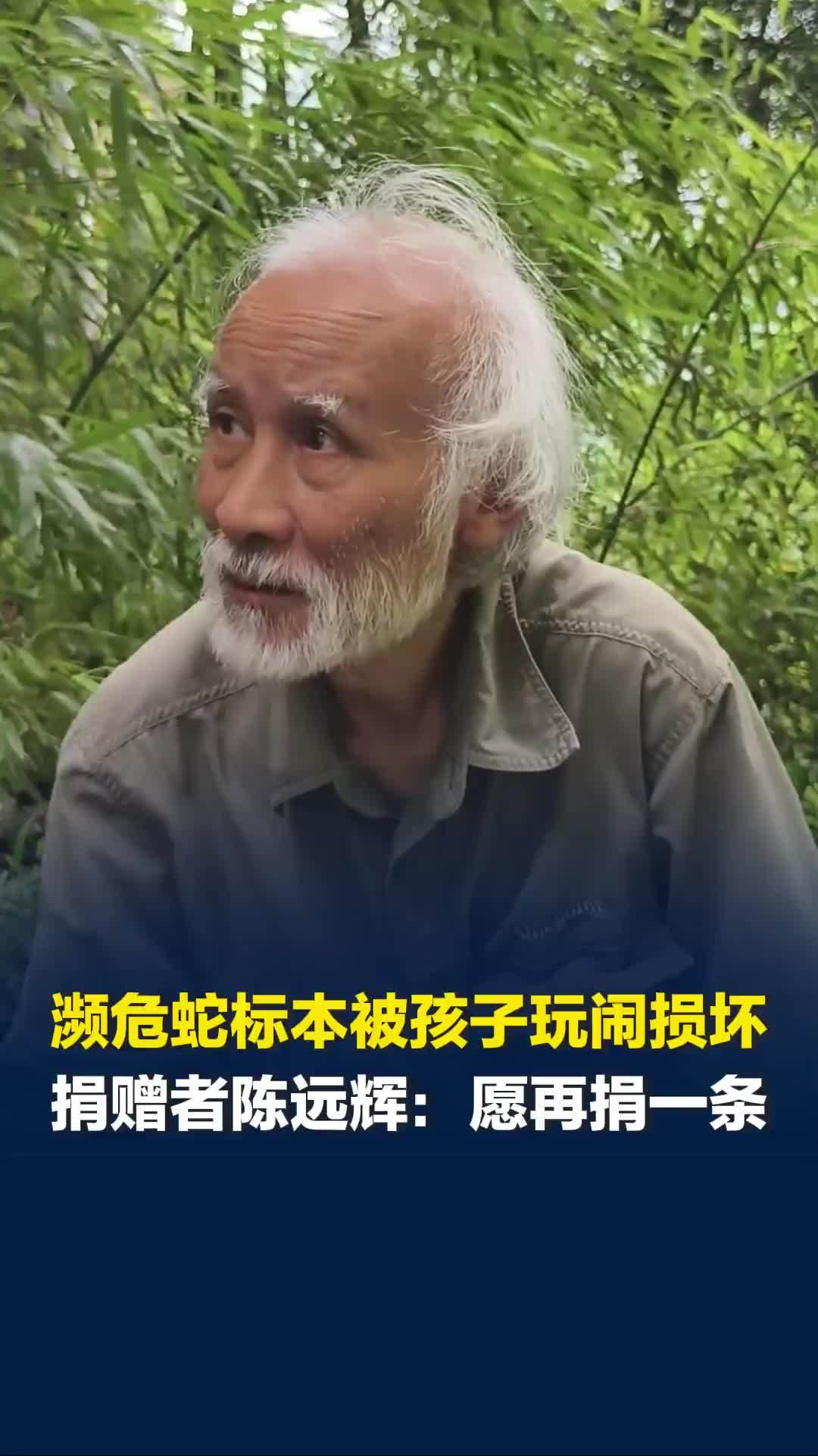 家长带娃玩闹脚踢损坏濒危蛇标本，77岁捐赠者陈远辉：愿意再捐一条