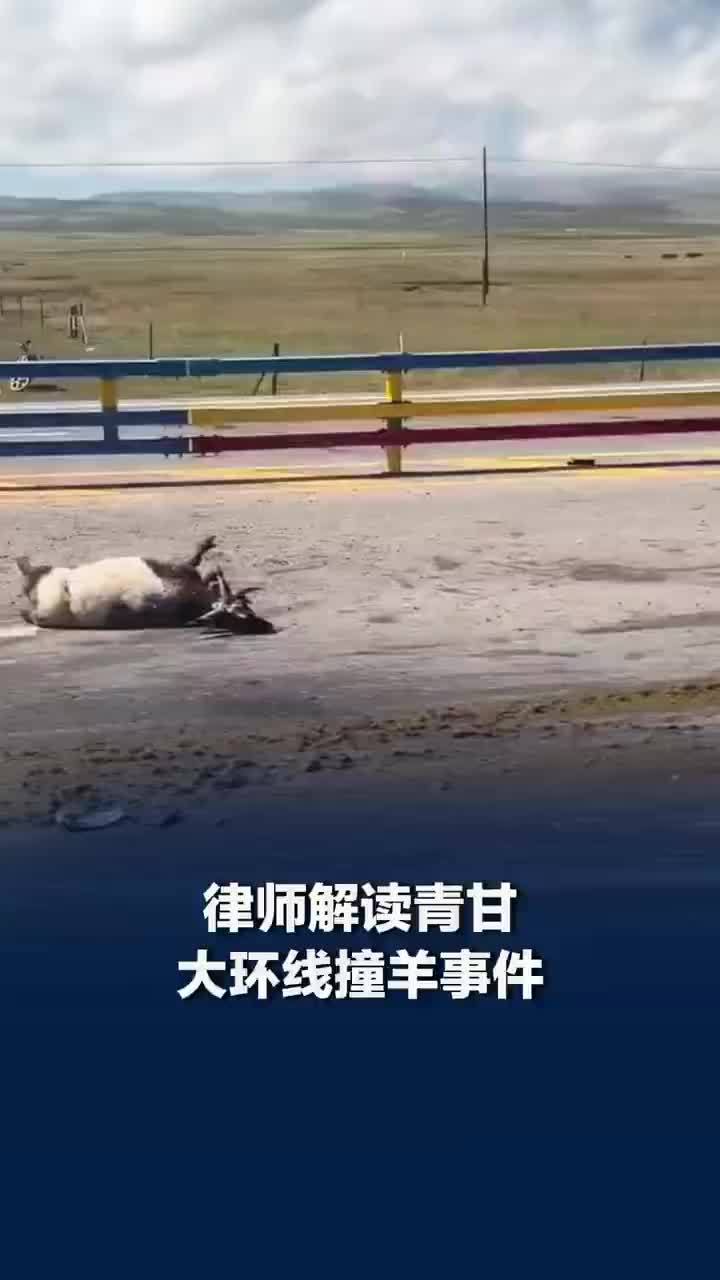 律师谈青甘大环线撞羊事故：拿到交警事故认定书是保险理赔的核心依据