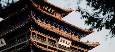 六百余年，只为等你来聊城见一面！