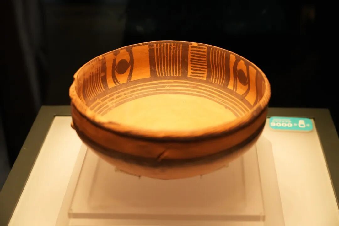 DSC03627.JPG