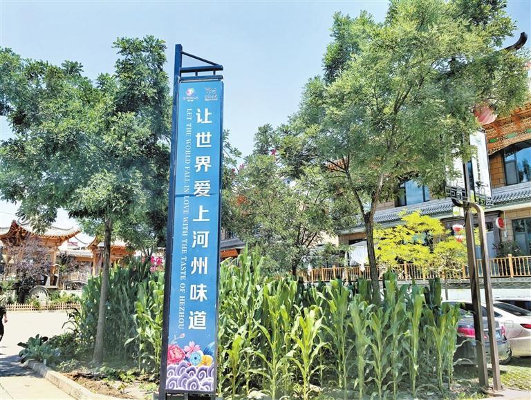 折桥村处处可见美食宣传标语