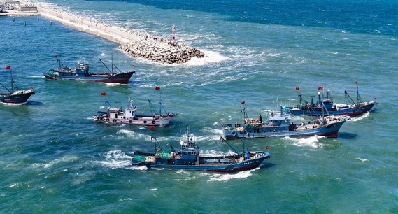 黄渤海开海啦！千帆竞发抢金秋“第一网”