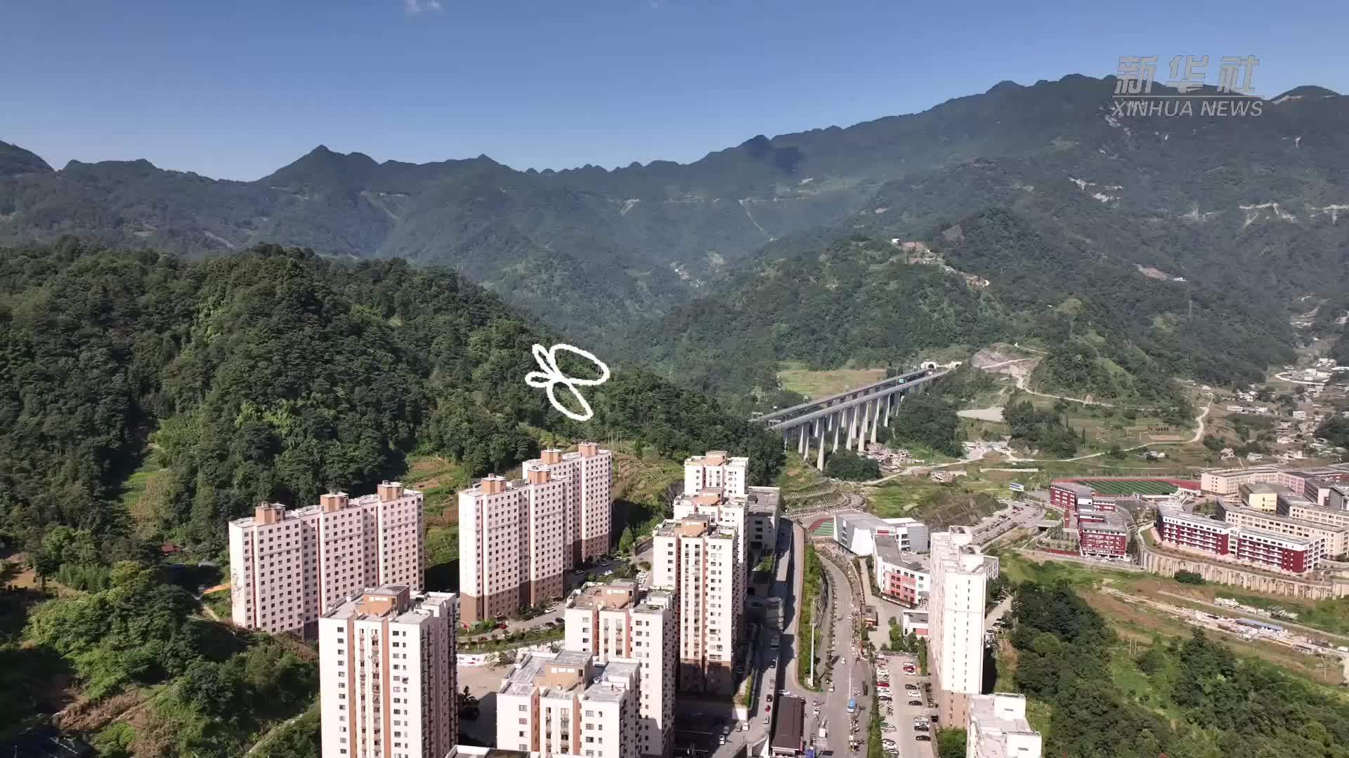 同学，你有一封赞美信