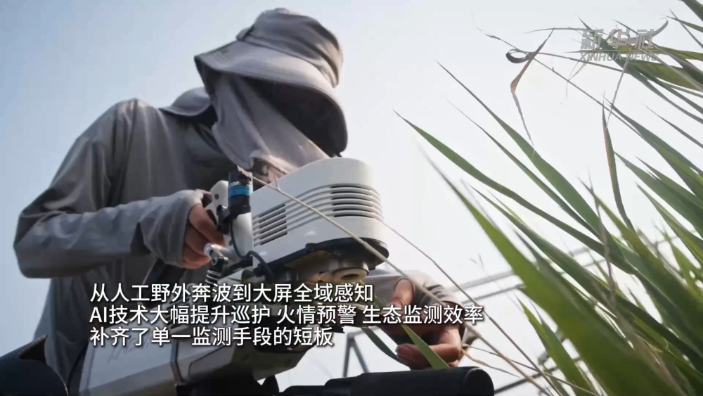 百鸟翩跹 AI全天候守护黄河入海口生态
