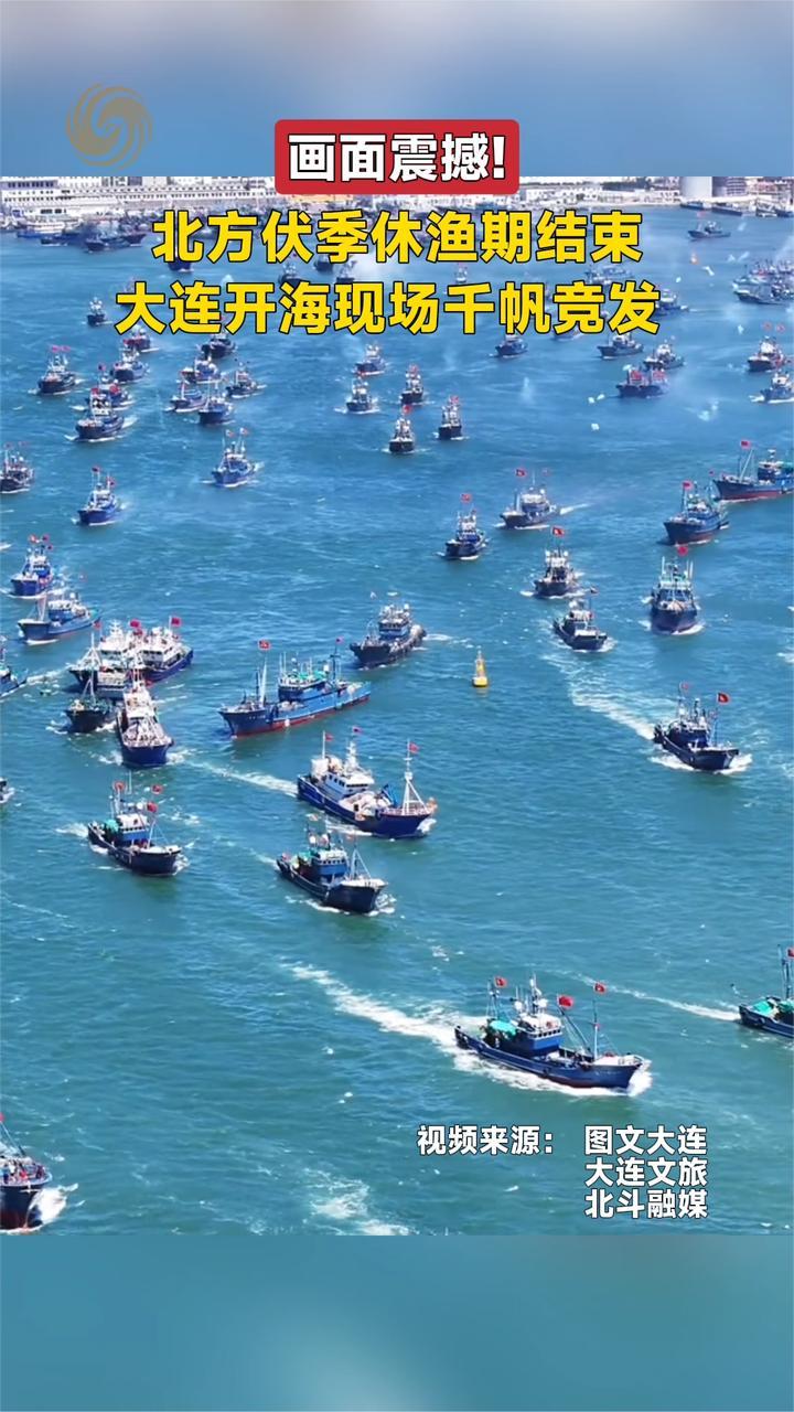画面震撼！北方伏季休渔期结束 大连开海现场千帆竞发