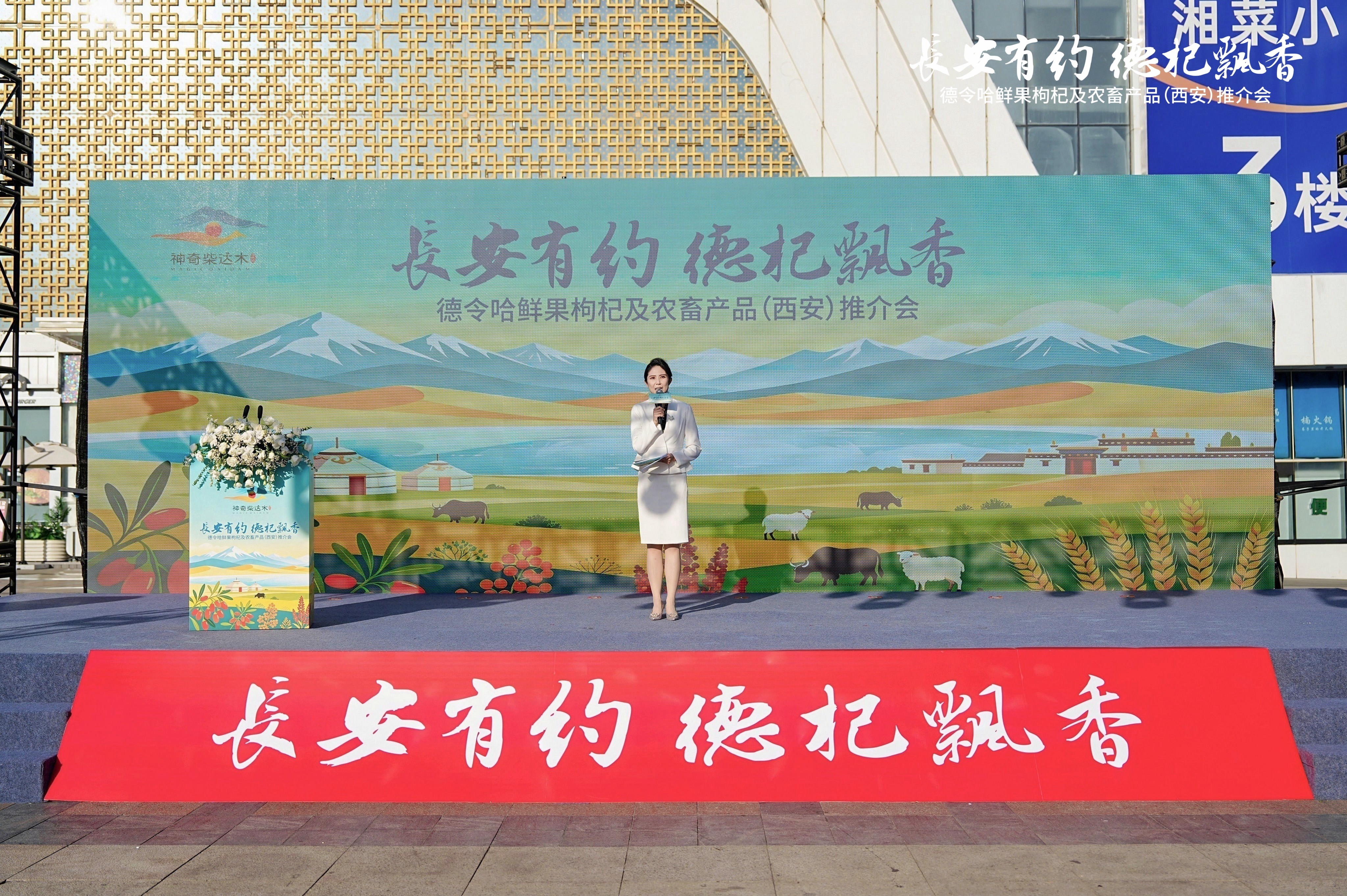 德令哈鲜果枸杞扎根西安 构建高原农品西北流通新格局
