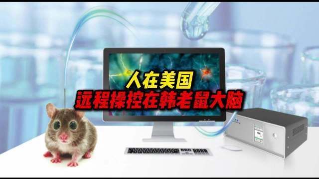 【#人在美国远程操控在韩老鼠大脑#】近日，韩国科学技术院研发出一款微