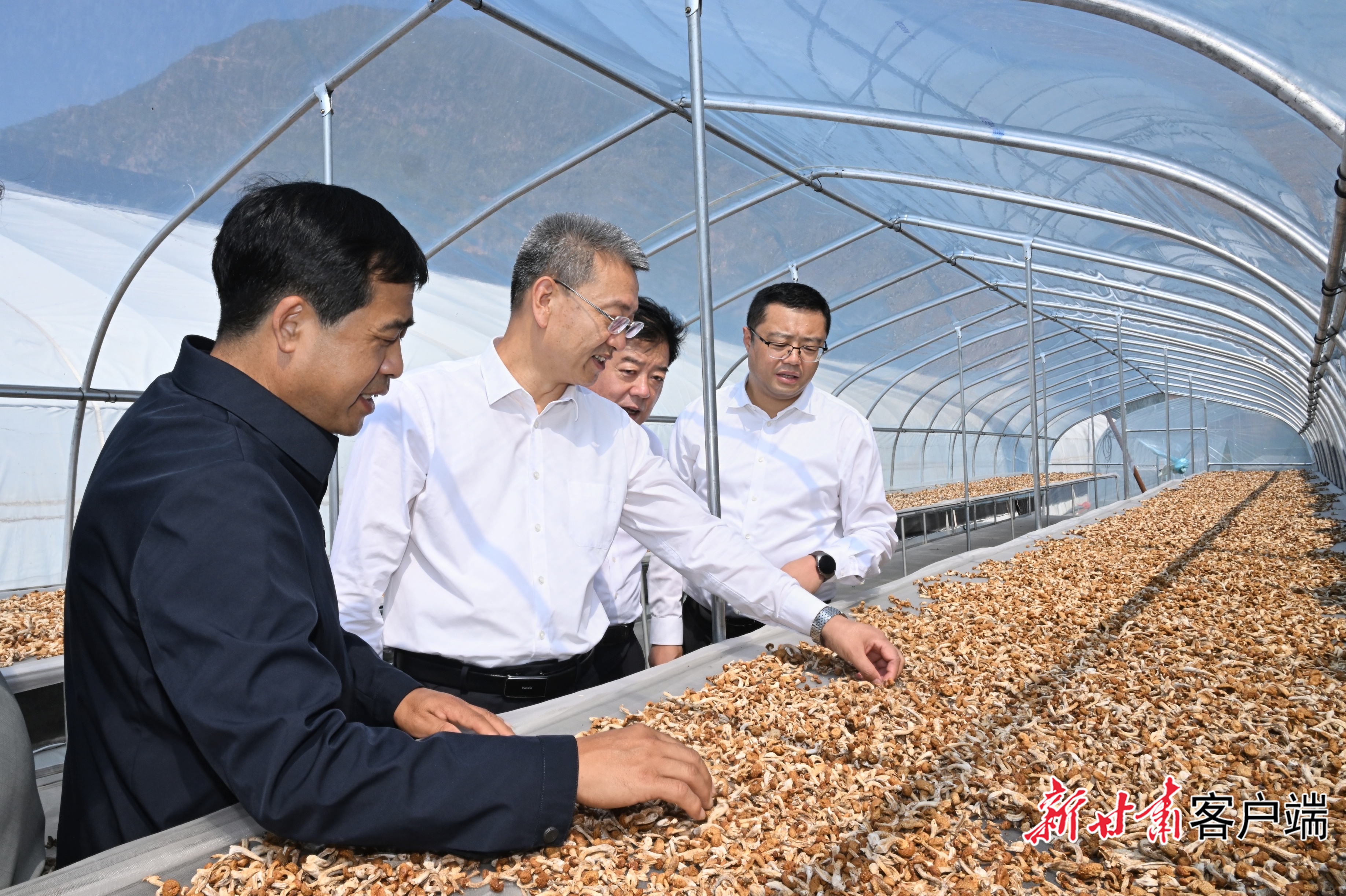 9月4日,省委副书记、代省长孔绍逊在天水市武山县调研。新甘肃·甘肃日报记者 盛学卿