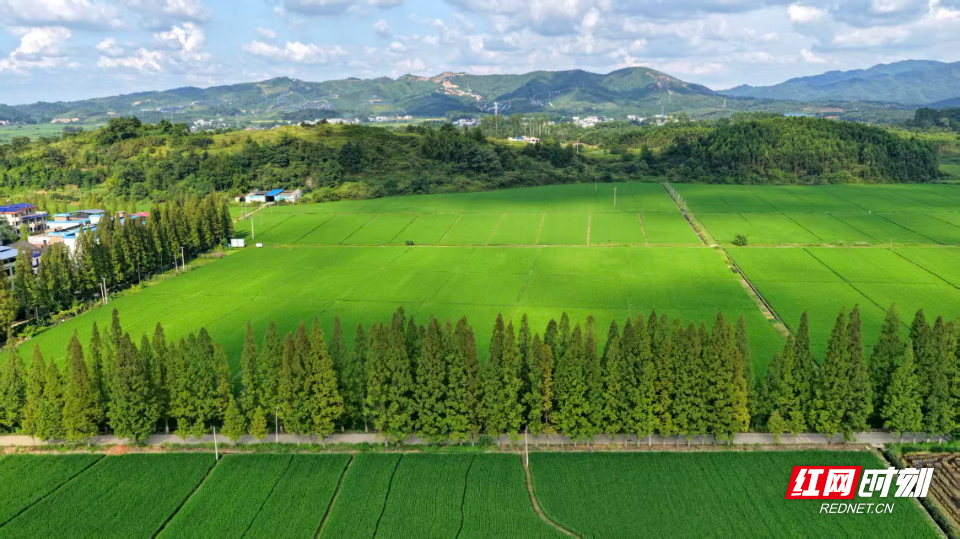 美丽乡村。