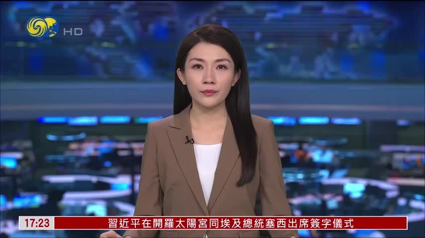 突尼斯夏季野火致超1.4万公顷森林被毁