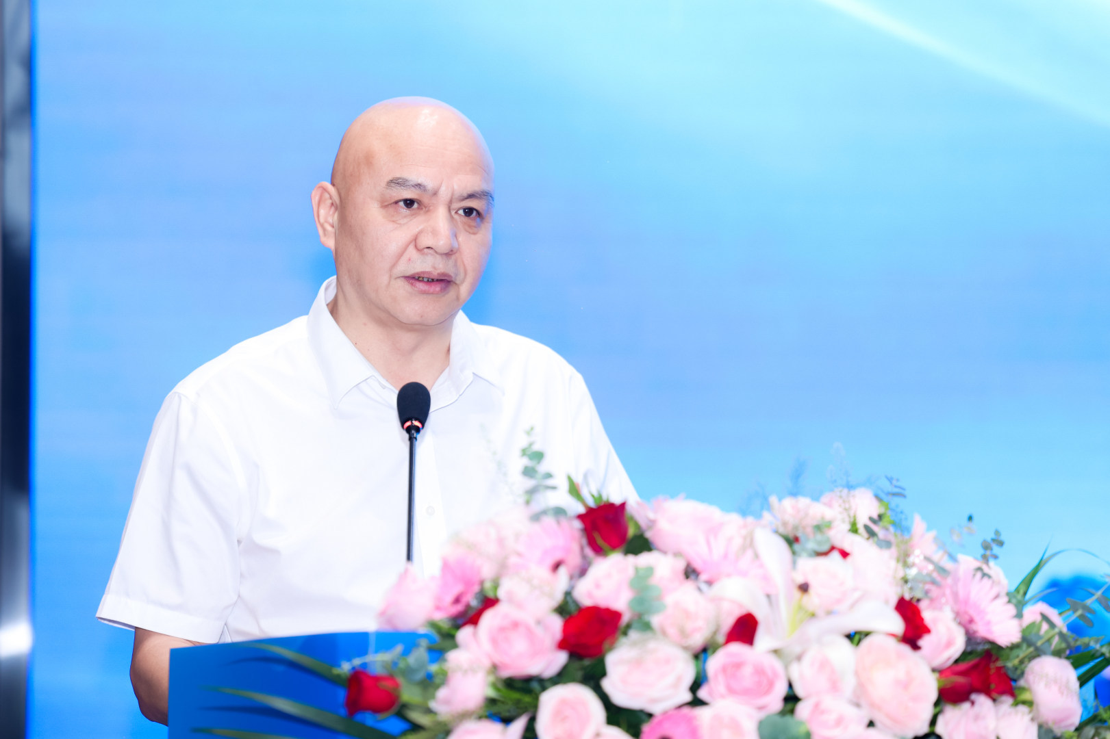 “数汇厦门 融通全球”厦门词元出海产业对接活动举行