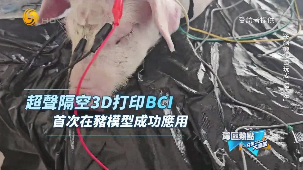 首次在猪模型成功应用，超声隔空3D打印脑电极如何改写脑机接口未来？