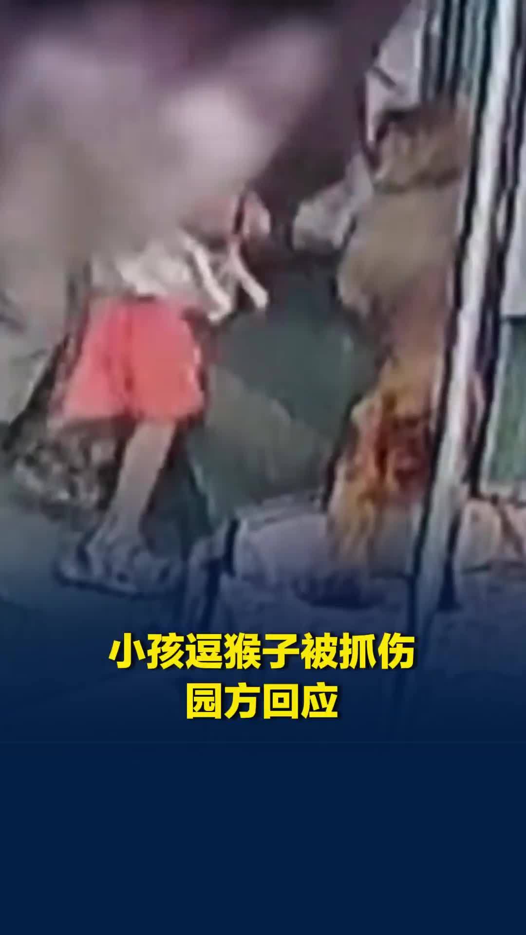 广东一动物园玻璃留缝，小孩逗猴子被抓伤，园方回应